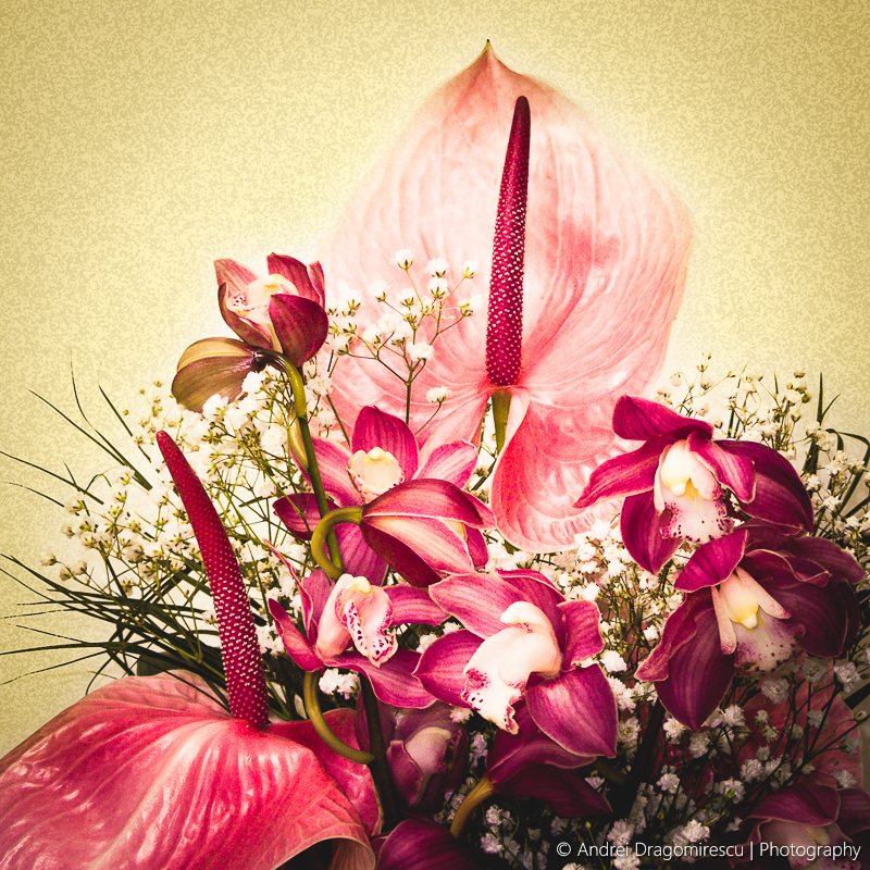 Bouquet by DrAndrei