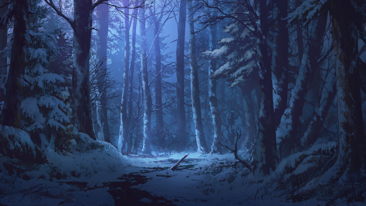 winter_forest_by_andanguyen_dbvzm3t-fullview.jpg