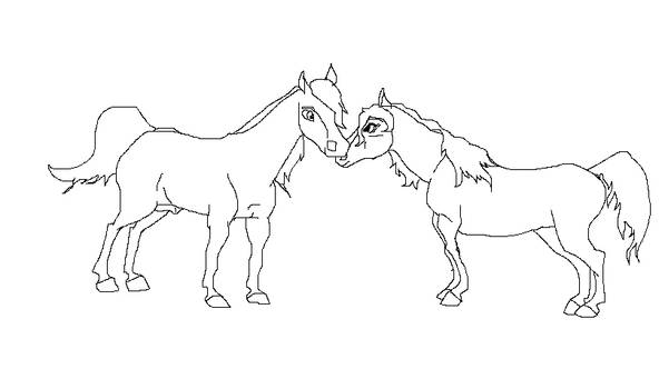 Stallion and Mare Lineart