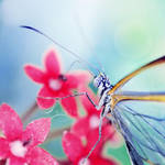 Memoris of an Imperfect Angel by Lady-Tori