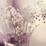 Baby's Breath by Lady-Tori