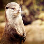 Ill pose, you take the picture
