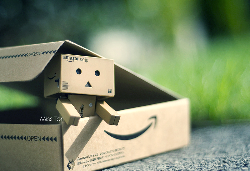 Danbo Is Home