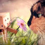 Flower For You, Miss..