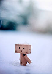 Danbo's first snow