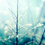 Let it Snow