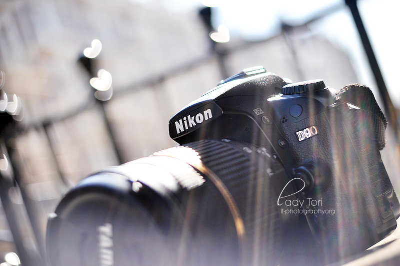 My Camera and New Lens