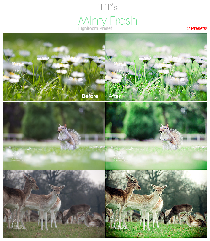 Minty Fresh LIGHTROOM Preset