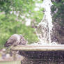 Birdie Bath