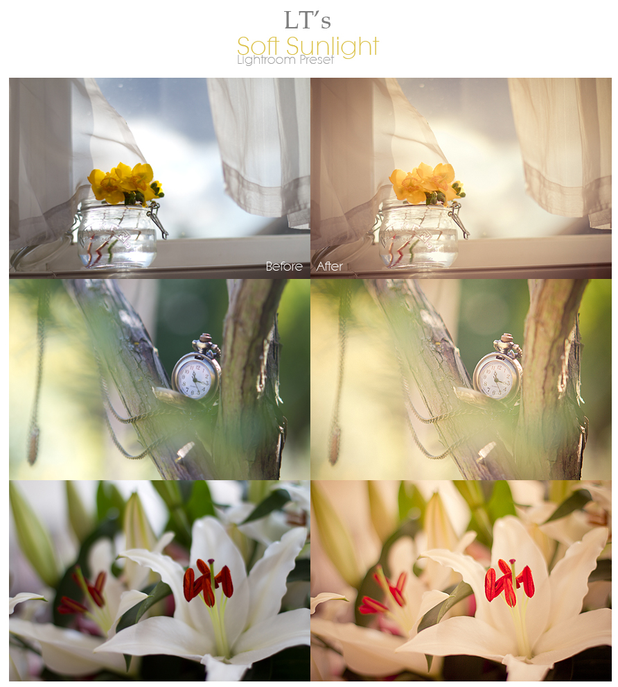 LT's Soft Sunlight LR Preset