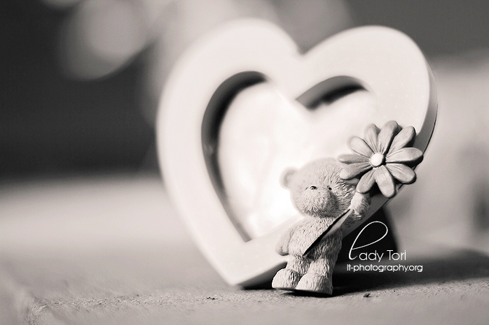 Memories - Day 76 by Lady-Tori