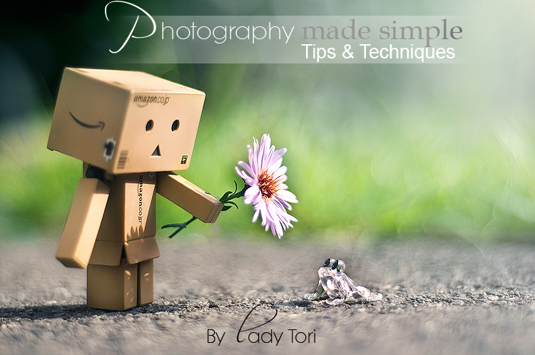 Photography Tips e-book JUST 7.50 for 2 days by Lady-Tori