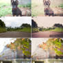 Colour Overlay Collection - Lightroom Preset