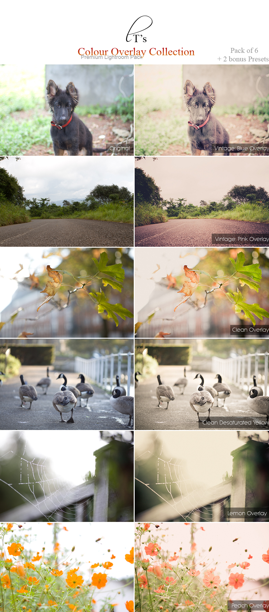 Colour Overlay Collection - Lightroom Preset