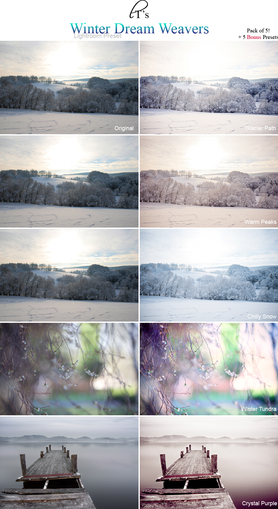 Winter Dream Weavers Lightroom Pack
