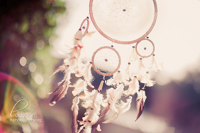 Dream Catcher