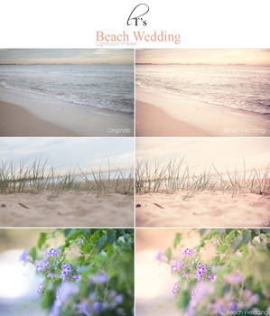 Beach Wedding LR Preset