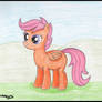 Scootaloo!