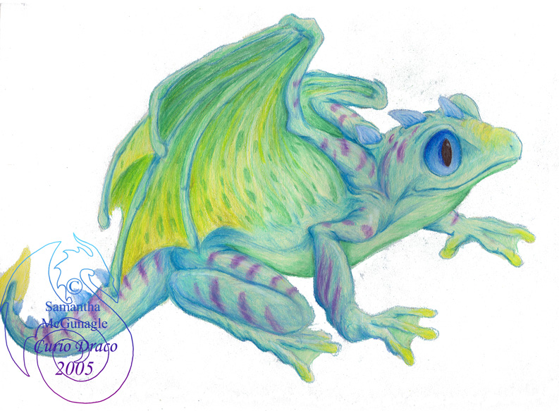 Dragon frog