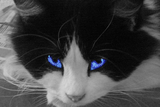 Blue Eyed Angel