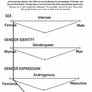 Gender Sexuality Spectrum