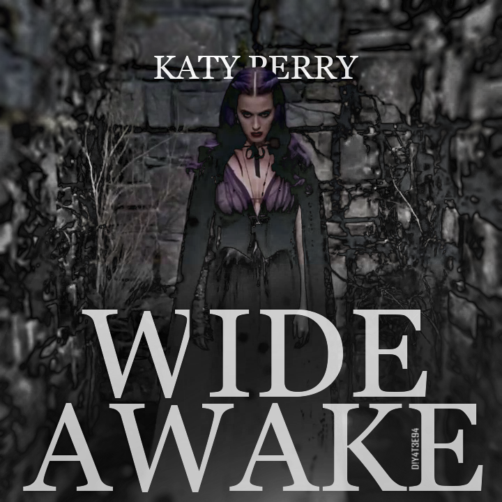 katy perry wide awake meaning
