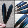 White-Cheeked Turaco Tail Feathers