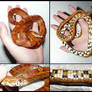 Anatomy: Corn Snake