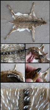 Axis Deer Calf Pelt