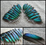 Eurasian Teal Duck Feathers by CabinetCuriosities