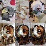 Tawny Owl - process