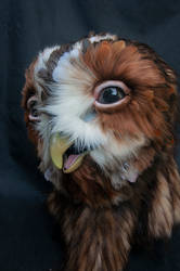 Tawny Owl - emote
