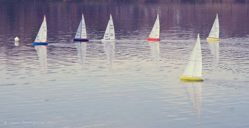 Carrera de barcos