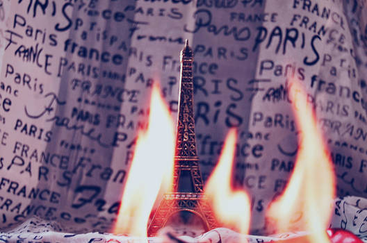 paris is burnin