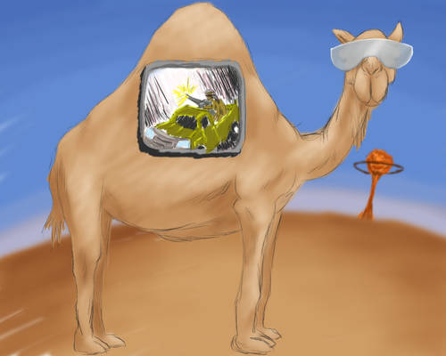 Iraqi Camel