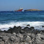 - sea stock nine