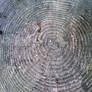 - wood texture one