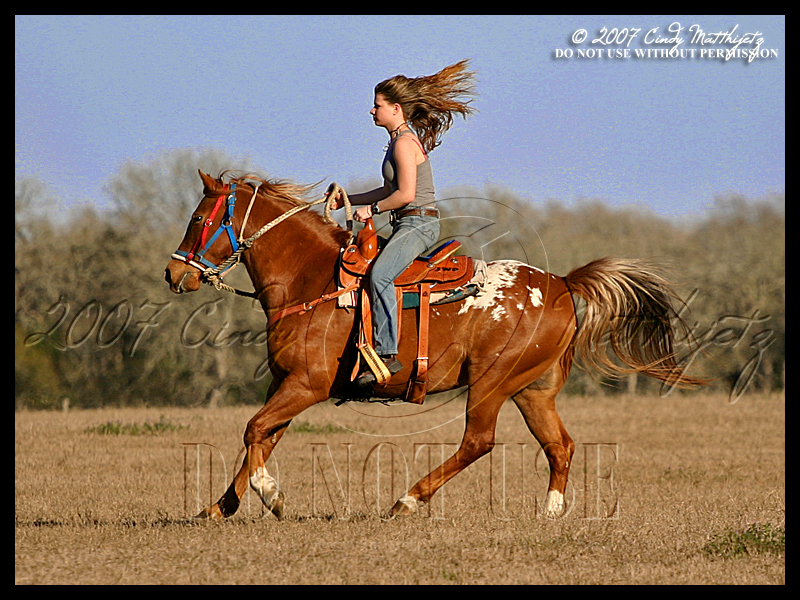 Appaloosa Flight