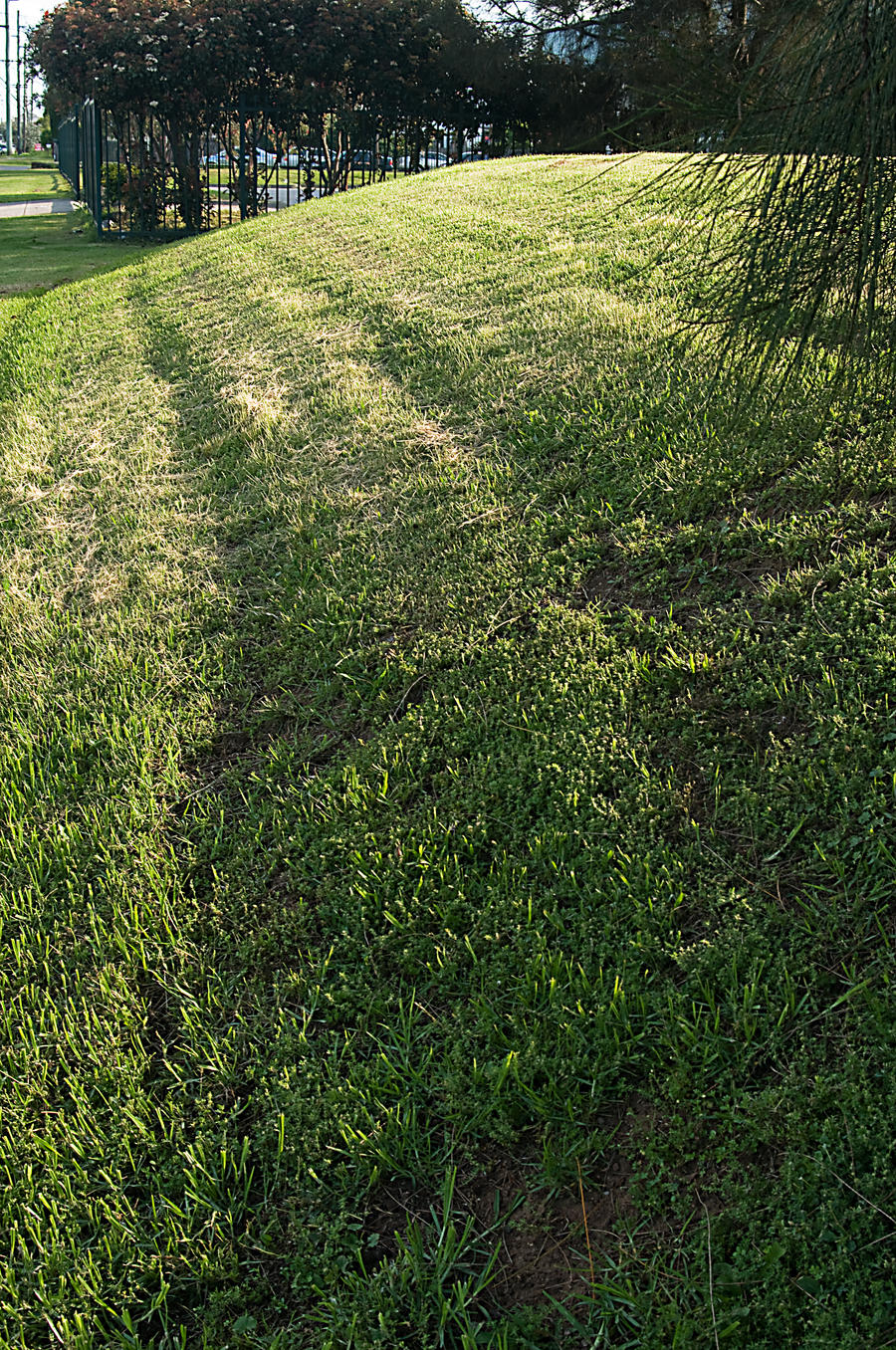 Urban Furrows