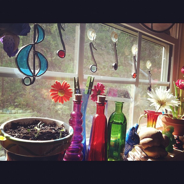 Kitchen Window