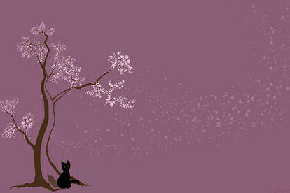 Cherry tree Cat