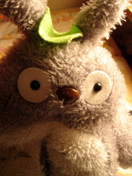 Totoro plushie