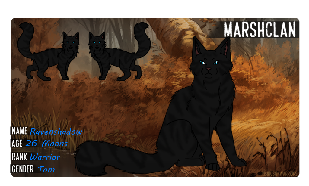 Ravenshadow Ravenshadow by Miomichio on DeviantArt