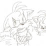 Angry Tails