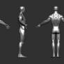 Zbrush Anatomy Sculpt