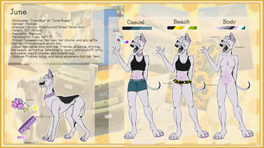 Reference Sheet For June