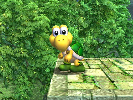 Koopa Is So Cute