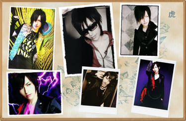 Mellow Eyes Tora Wallpaper 2