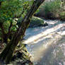 Pisgah Bridge January 2014