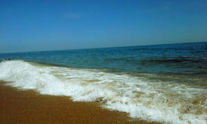 Nags Head Beach 4